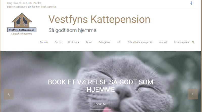 Billig Wordpress Hjemmeside til Vestfynskattepension.dk lavet af Dit Online Visitkort